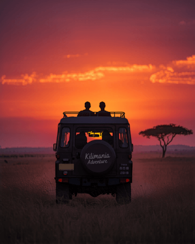 Which is better, group safari or private safari in Tanzania, Serengeti sunset with safari vehicle silhouette and travelers reflecting on the experience
