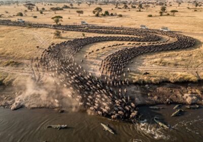Best Time To Visit Serengeti For The Great Migration 2026
