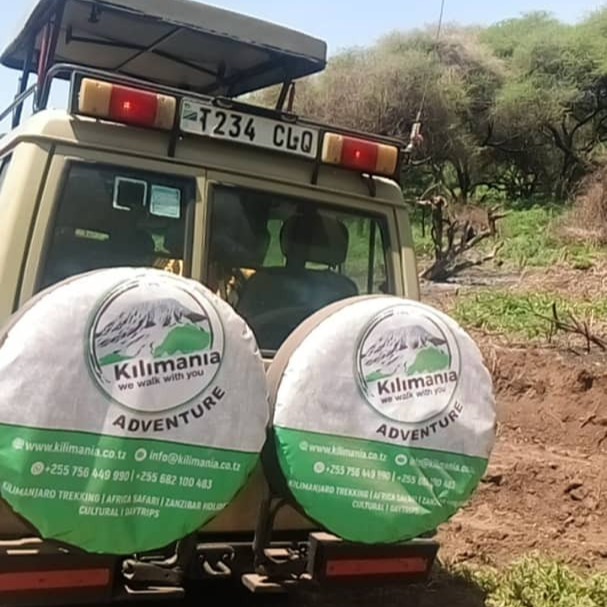 Kilimanjaro Climb & Tanzania Safari Expert 2026 | Moshi