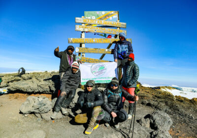 Shira Route Kilimanjaro 2026: Complete Guide, Success Rates & Honest Assessment