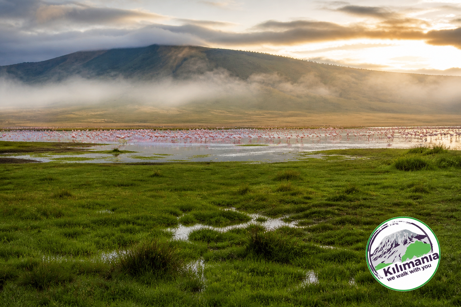 Low season Tanzania safari Ngorongoro Crater April green season budget travel]