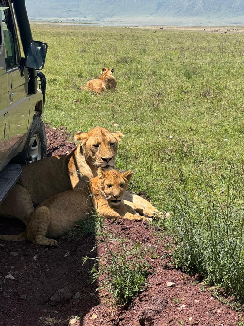 Tanzania Safari With Kids