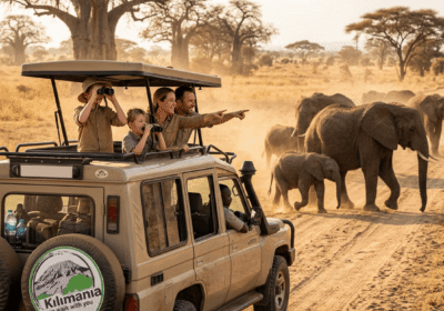 Tanzania Safari Family Cost 2026 | What Families Actually Pay