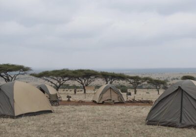 Budget Camping Safari Tanzania 2026: What It’s Really Like