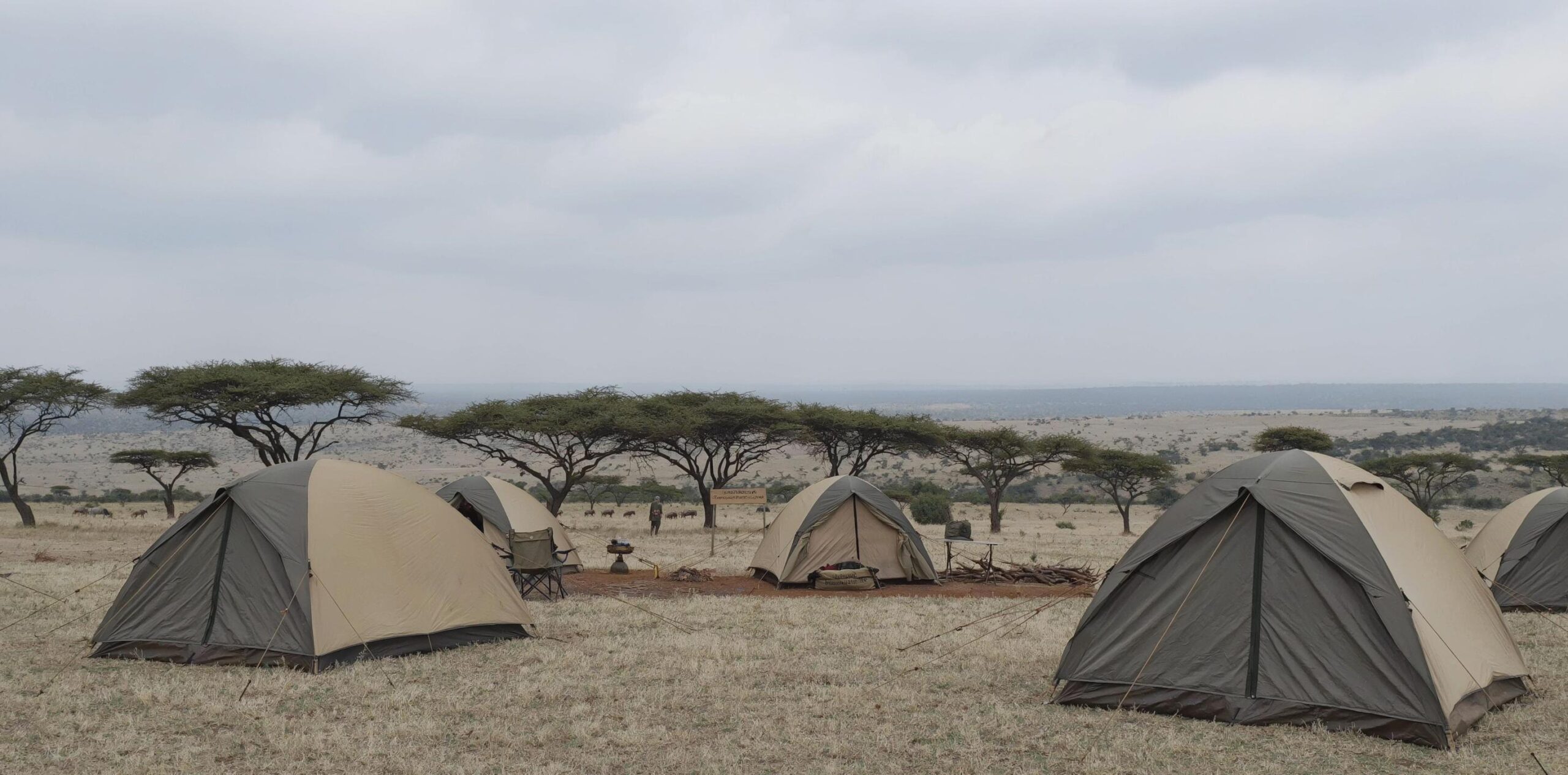 budget camping safari Tanzania Nyani campsite sunrise Seronera Valley Serengeti