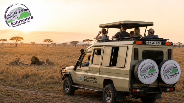 Budget Tanzania Safari Cost 2026