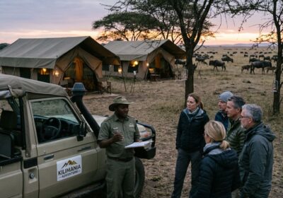 What Is Included in Tanzania Safari Package | 2026 Cost Guide