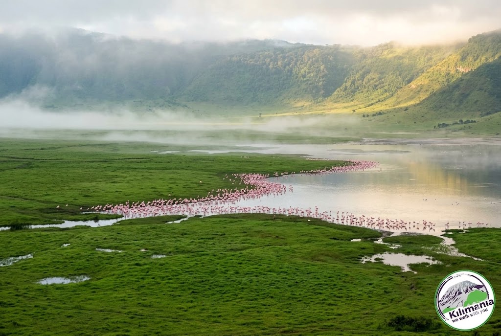 Ngorongoro Crater floor green season April flamingos Lake Magadi Tanzania low season safari 2026