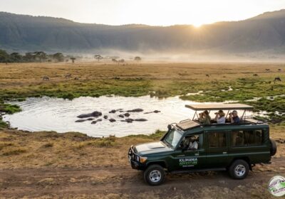 How Much to Tip on  Tanzania Safari 2026: Exact Amounts