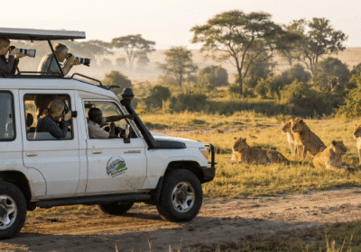 Serengeti Big Five Safari Cost, Itinerary | 5 Day vs 7 Day