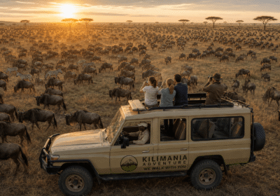 Serengeti Migration Month By Month: A First-Time Guide 2026