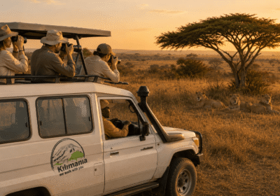 Serengeti National Park Safari Guide | 2026 Cost & Package