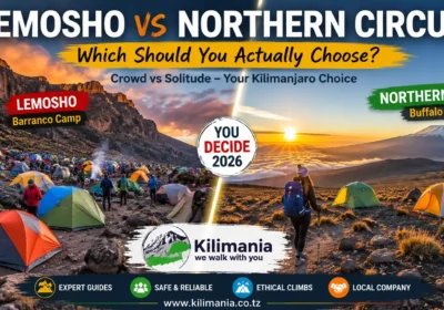 Lemosho vs Northern Circuit: Which Should You Actually Choose?