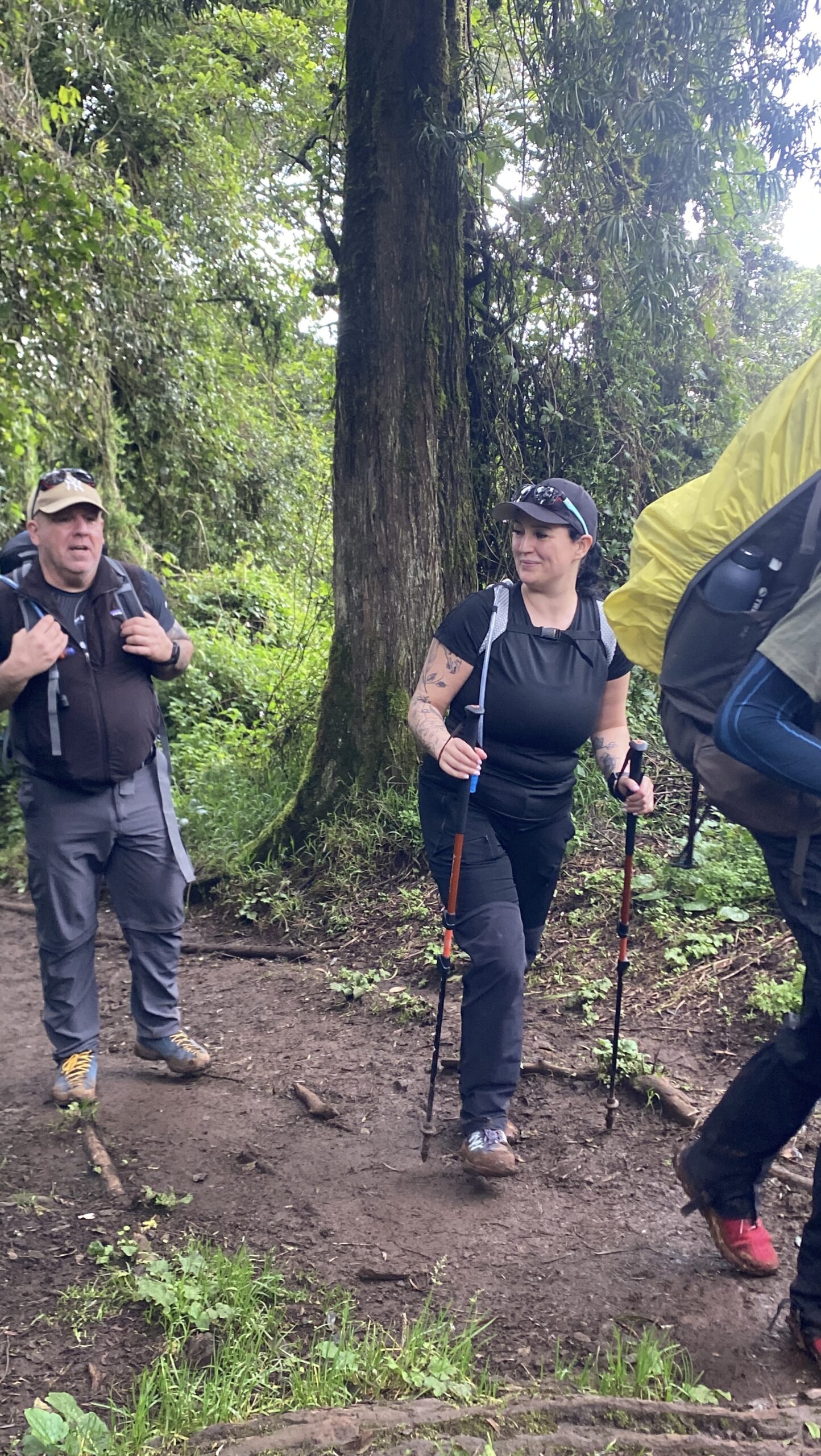 Climbers using trekking poles hike through primary rainforest on Day 1 of the Lemosho Route near Londorossi Gate, Mount Kilimanjaro