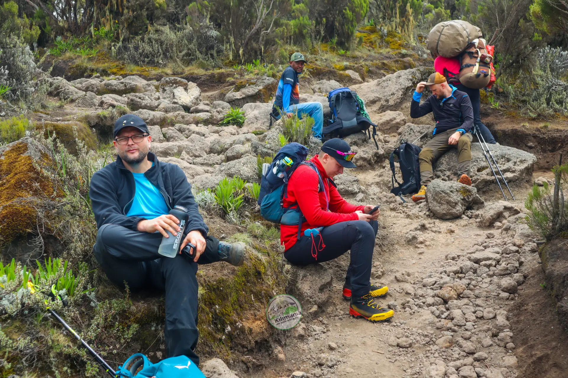 Lemosho Route Kilimanjaro: Itinerary, Success Rate & Honest Assessment | Kilimania Adventure Is Lemosho Suitable for Beginners?Lemosho Route Kilimanjaro: Itinerary, Success Rate & Honest Assessment