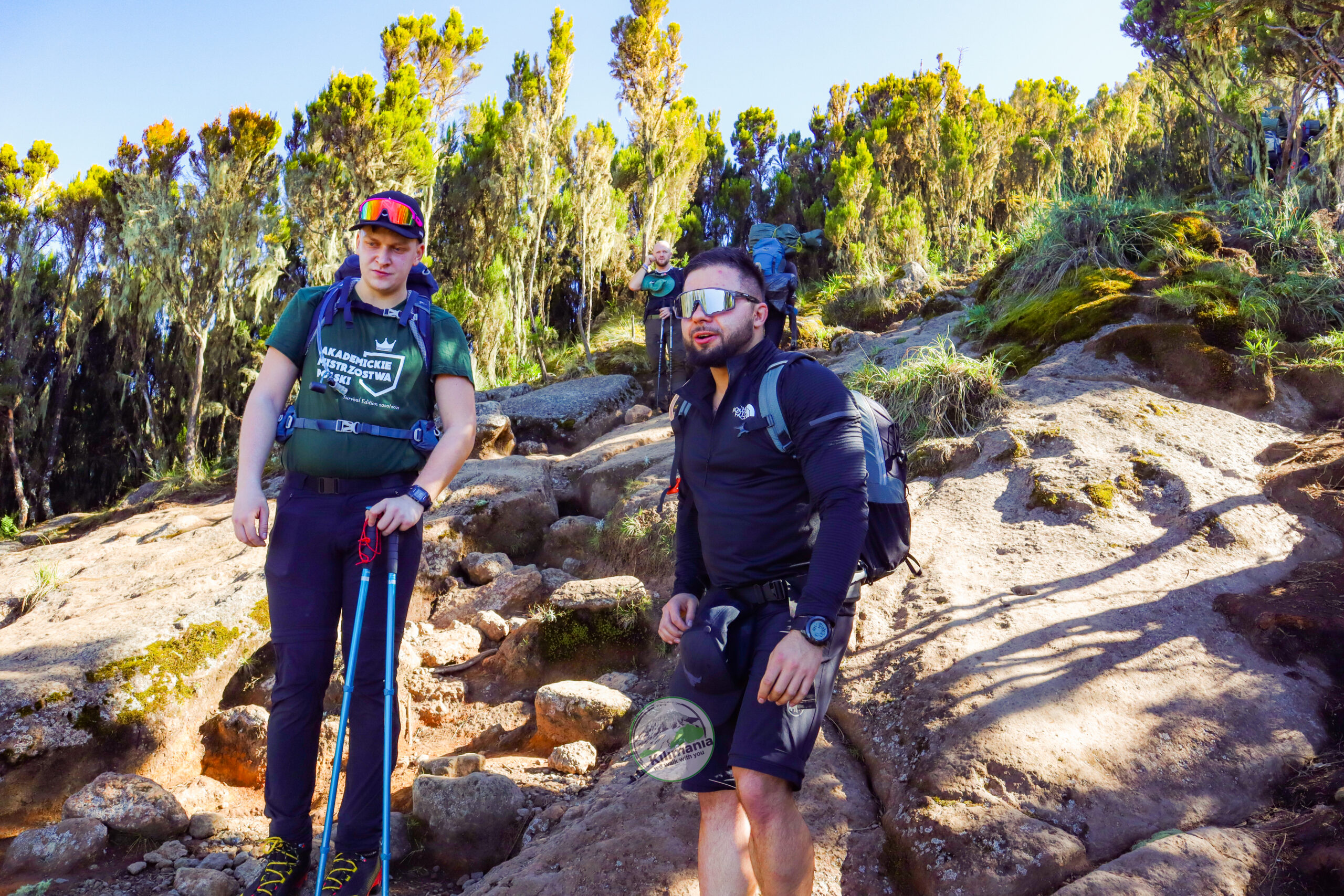 Machame Route Kilimanjaro: Complete Guide