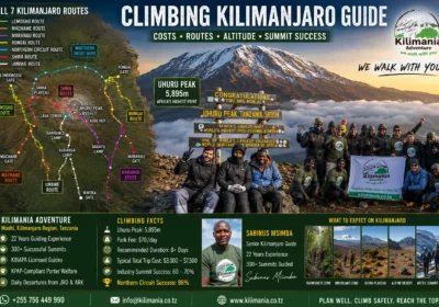 Climbing Kilimanjaro Guide: Costs, Routes, Altitude & Summit Success
