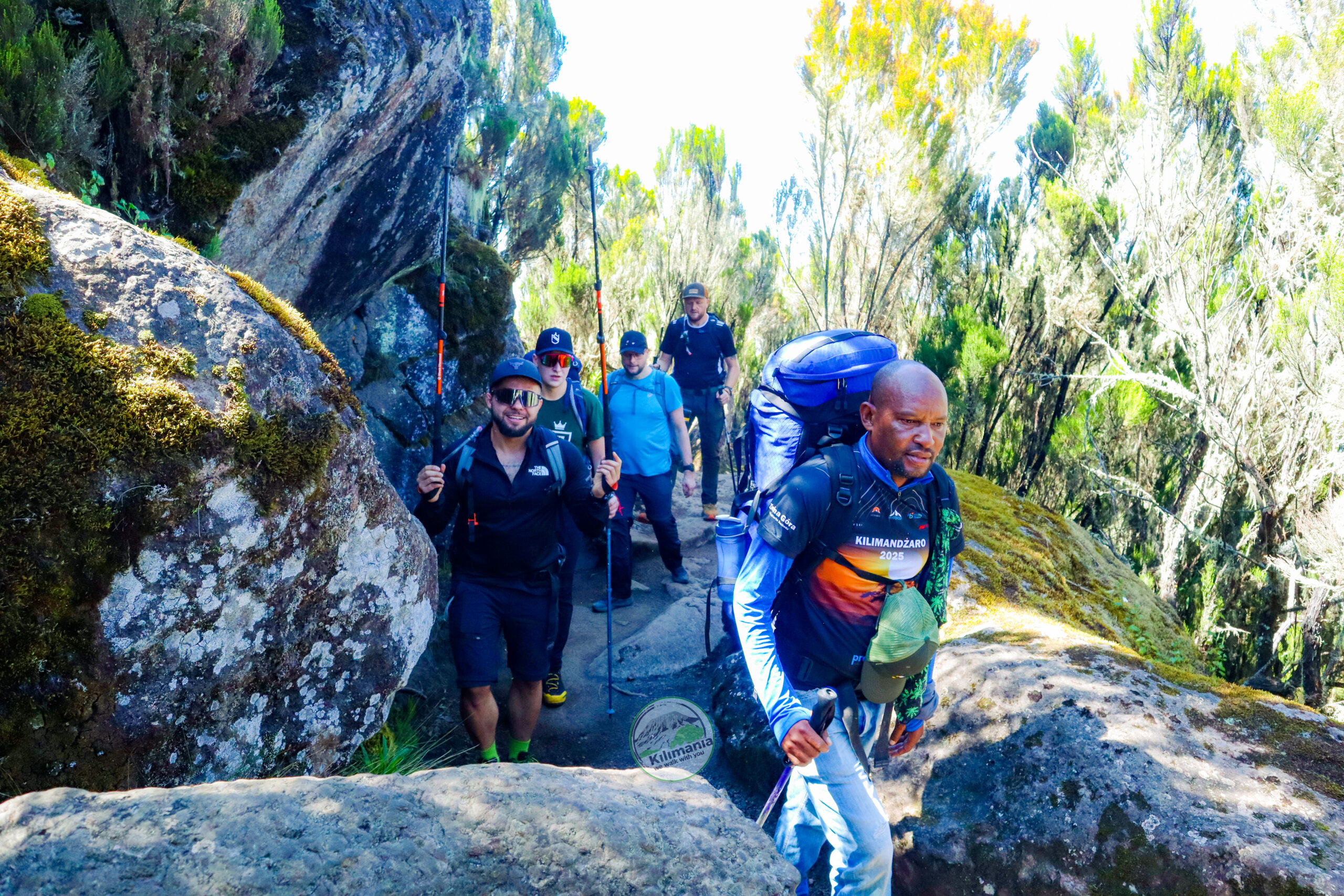 How Hard Is Kilimanjaro? Real Data From 300+ Summits kilimania