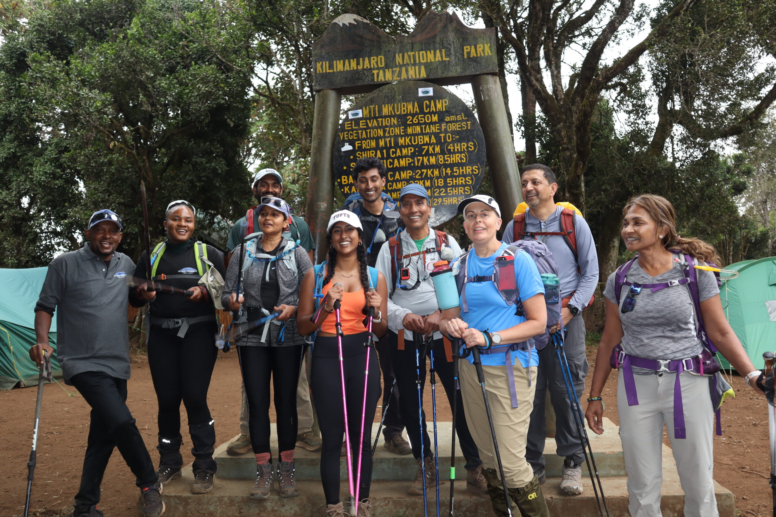 Tents pitched among old-growth rainforest at Big Tree Camp on Day 1 of the Lemosho Route