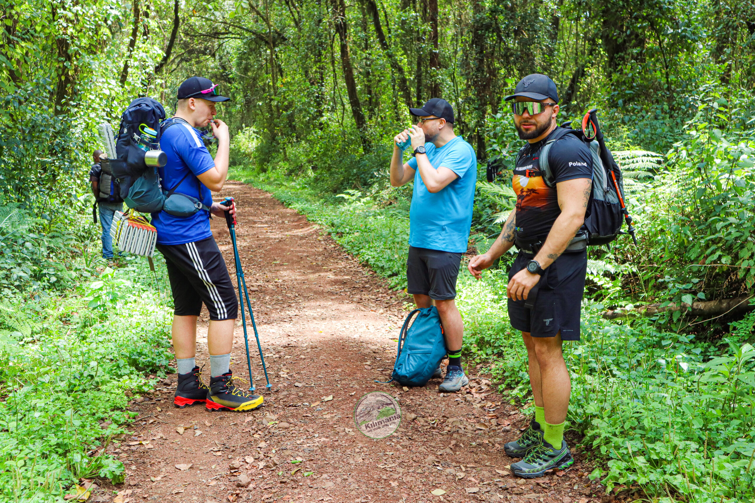 Best Boots for Kilimanjaro: The Most Important Gear Decision You Will Make | Kilimania Adventure Climbers wearing waterproof hiking boots on the first day of the Machame Route through Kilimanjaro's rainforest zone.