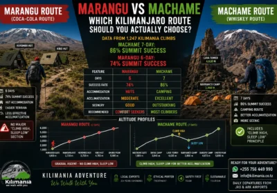 Marangu vs Machame: Which Kilimanjaro Route Should You Actually Choose?