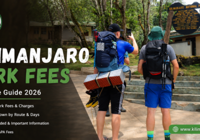 Kilimanjaro Park Fees 2026: What You’ll Actually Pay TANAPA, By Route
