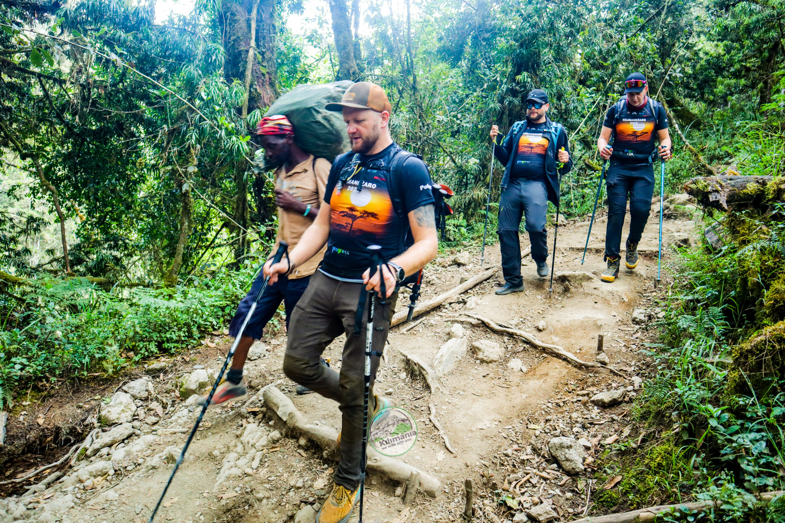 Climbers and a porter hiking through the Lemosho Route rainforest