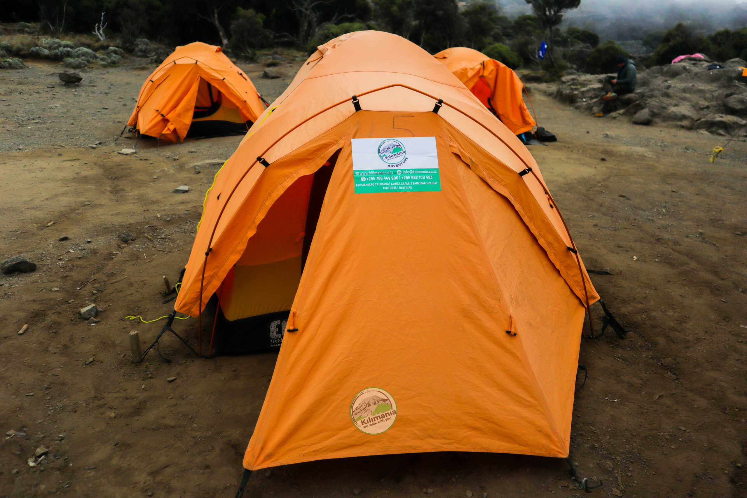 Quality four-season tents at Shira Camp on Mount Kilimanjaro, Kilimania Adventure equipment