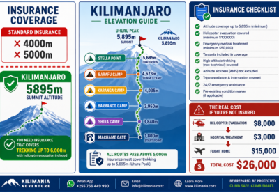 Kilimanjaro Travel Insurance: What You Actually Need and What to Avoid