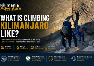What Is Climbing Kilimanjaro Actually Like?