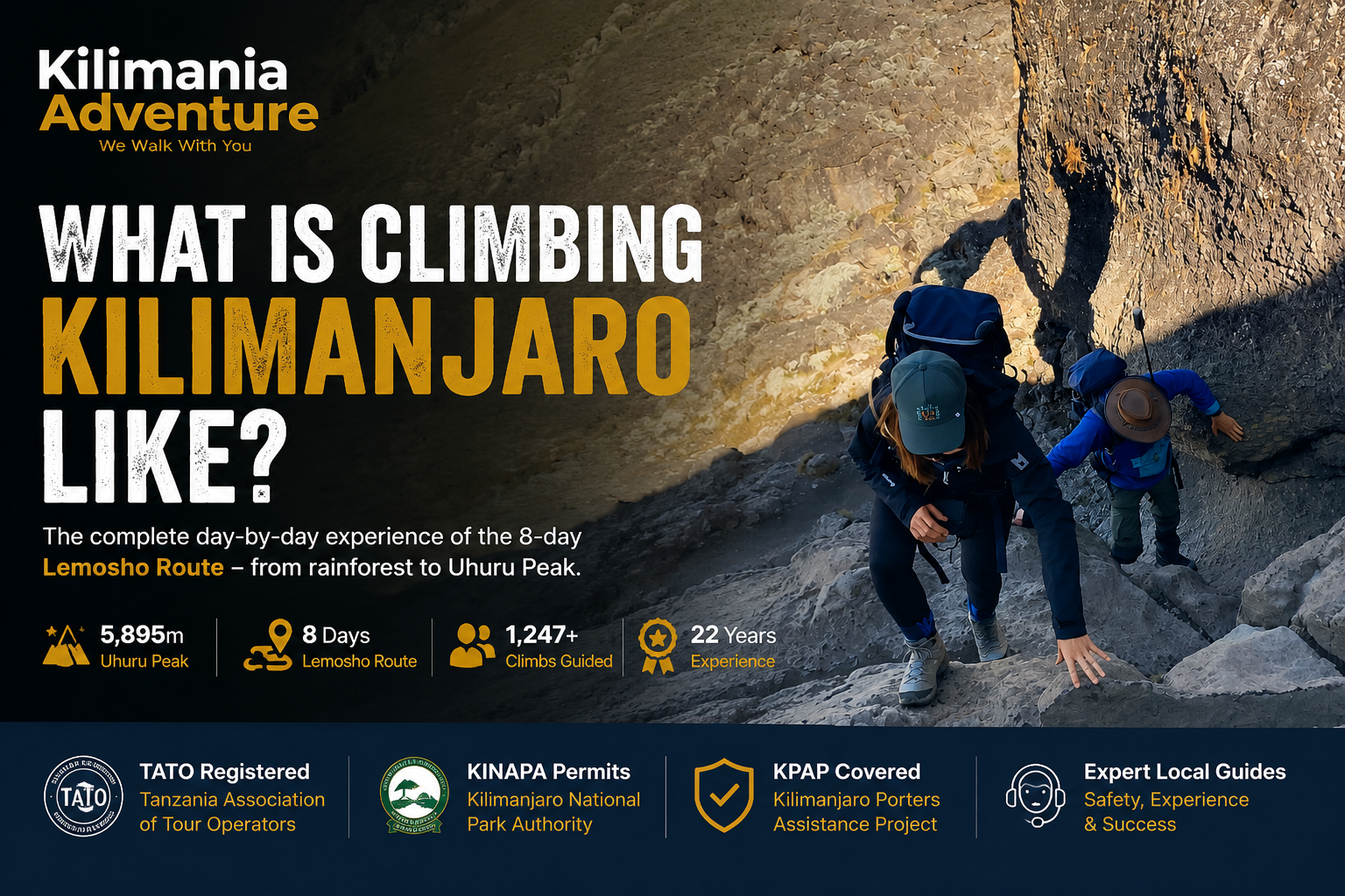Climbers ascending the Barranco Wall on Mount Kilimanjaro during the 8-day Lemosho Route trek with Kilimania Adventure, Tanzania.
