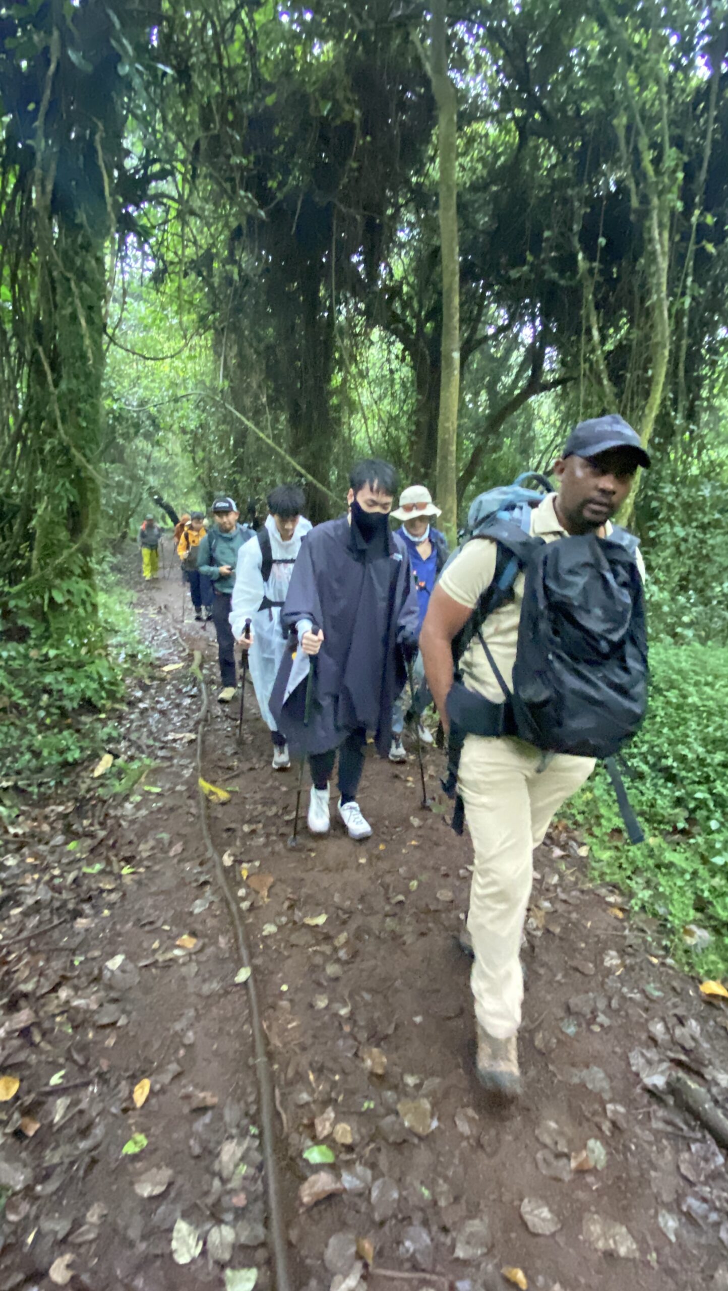 Climbers on the steep, muddy rainforest trail just after Marangu Gate on Day 1 of the 6-day Marangu Route