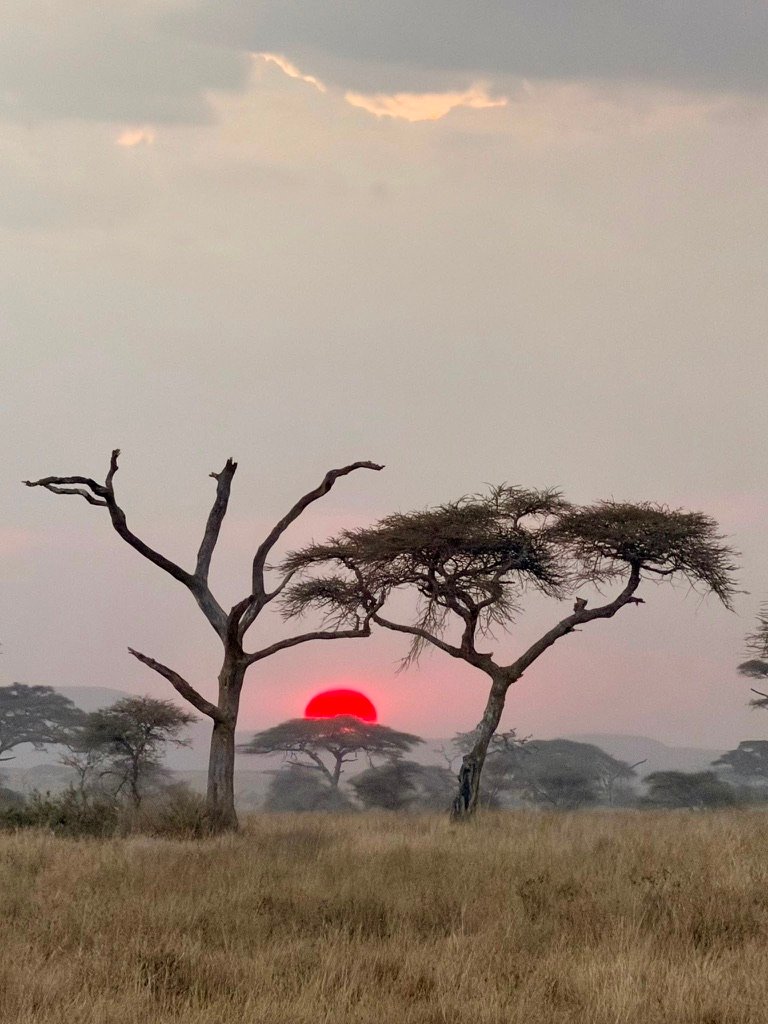 Best day trips from Arusha — Northern Circuit sunset landscape near Arusha, Tanzania