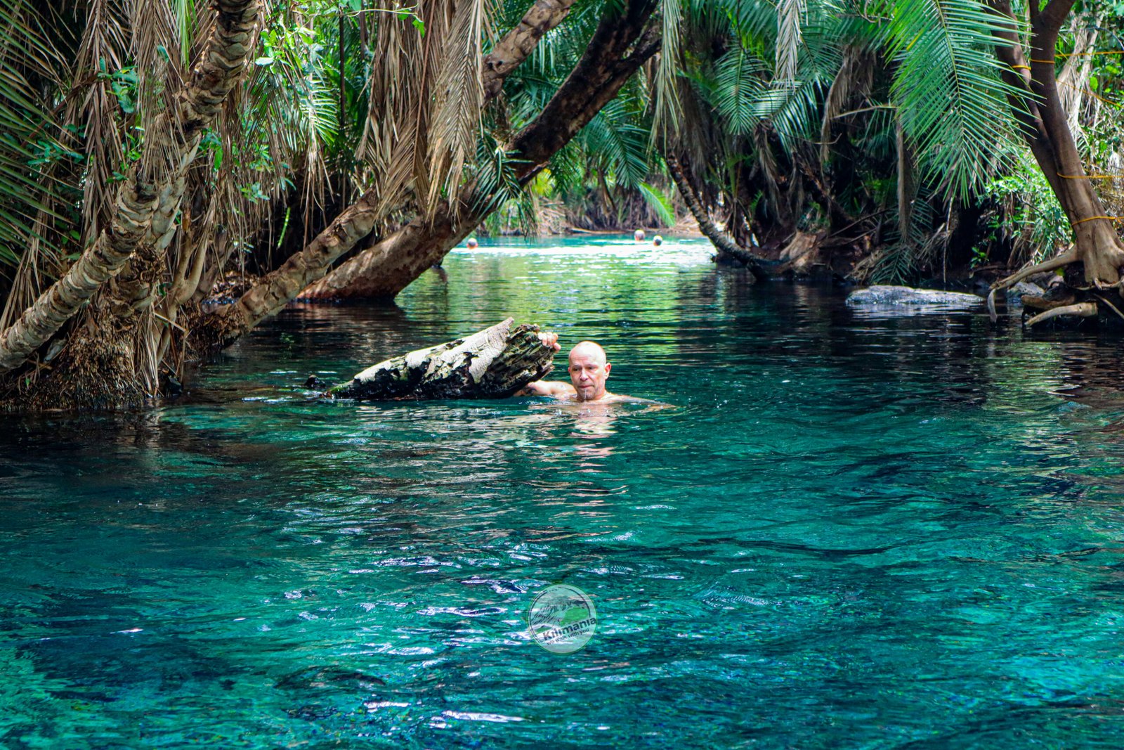 Swimmer in the clear turquoise water at Chemka Hot Springs surrounded by palm trees