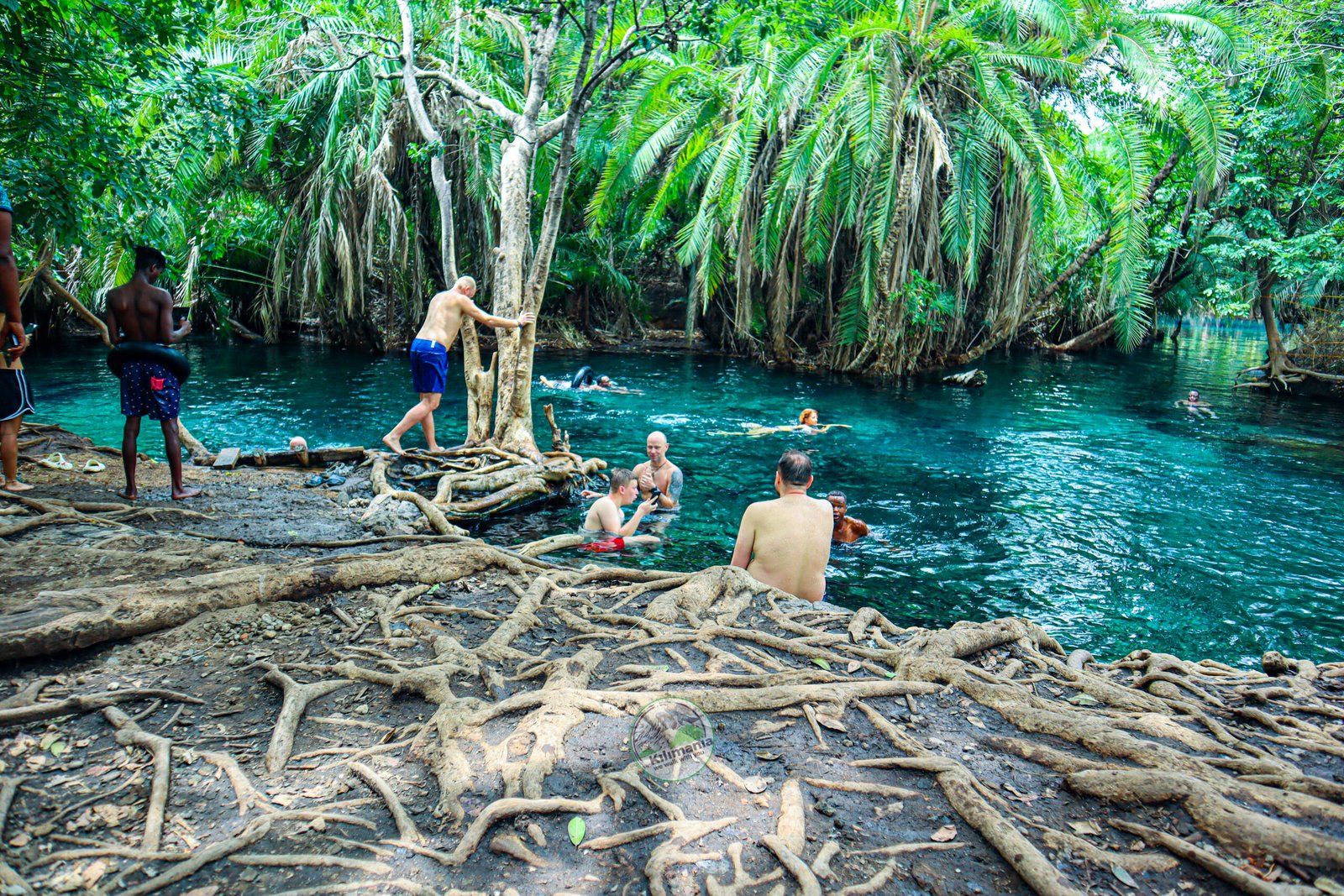 A Kilimania group swimming in the clear, naturally cool water at Chemka Kikuletwa Hot Springs near Moshi