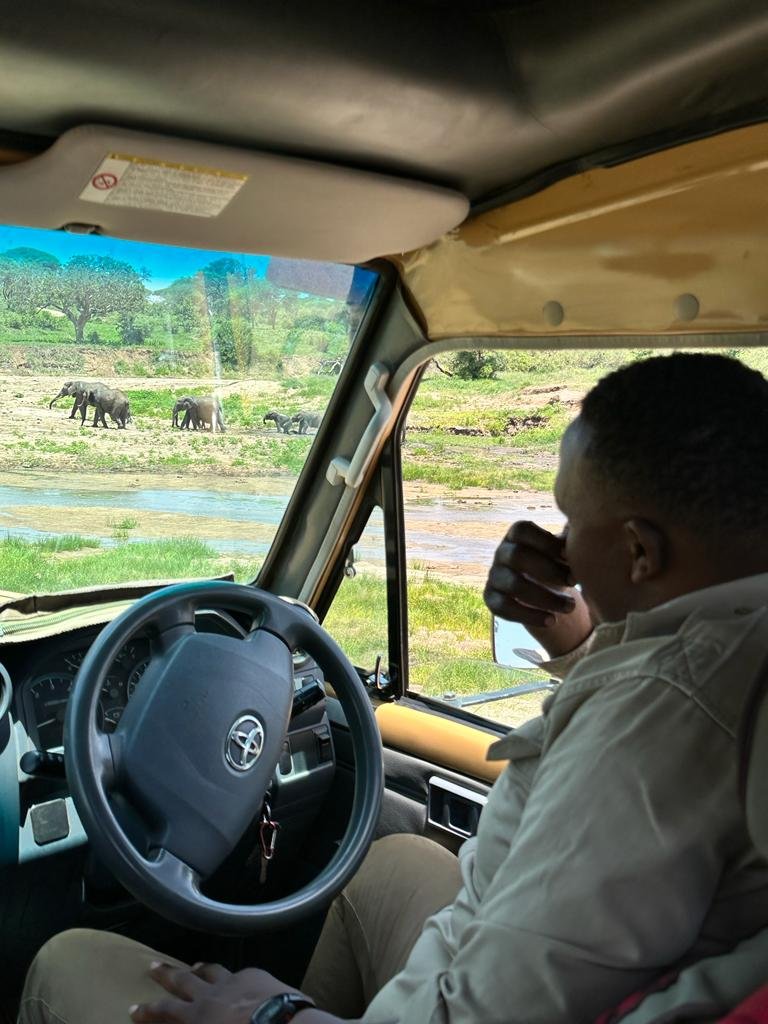 Kilimania guide watching elephants from a viewpoint over the Tarangire River