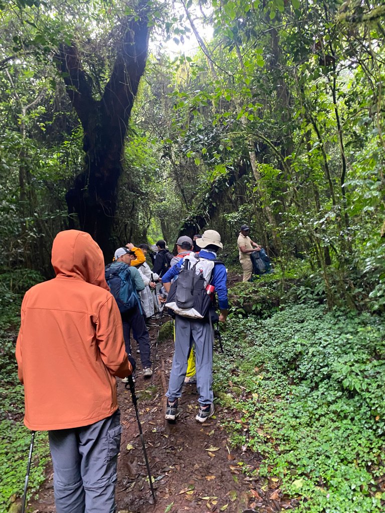 Marangu Gate entrance and the start of the rainforest trail into Kilimanjaro National Park