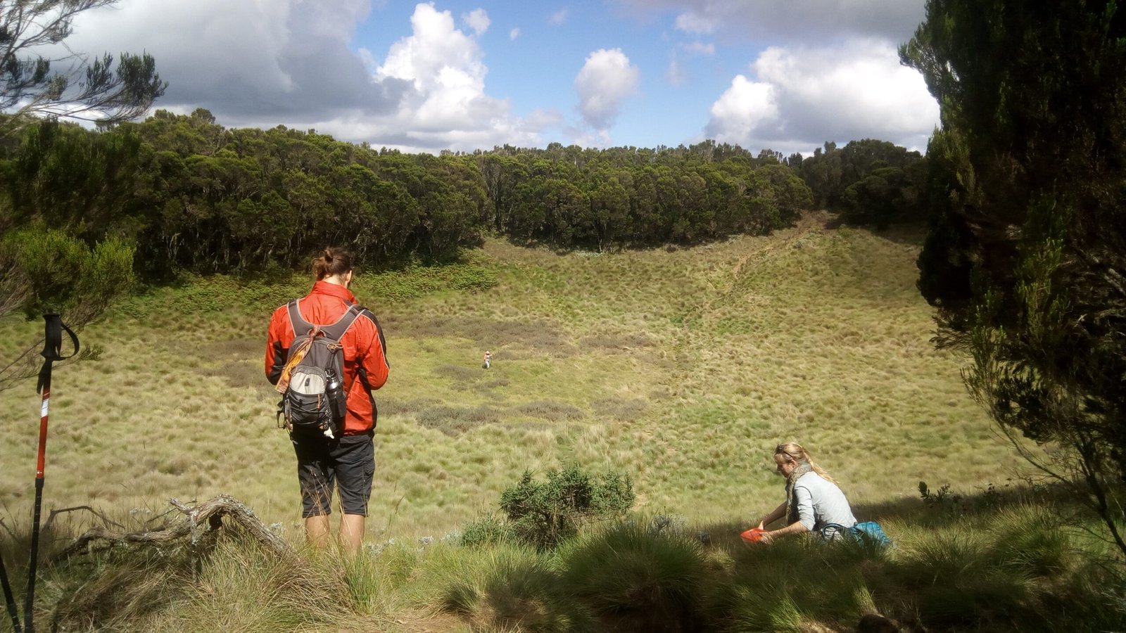 Hikers on the grassy floor of Maundi Crater near Mandara Hut, ringed by forest, on the Marangu day hike