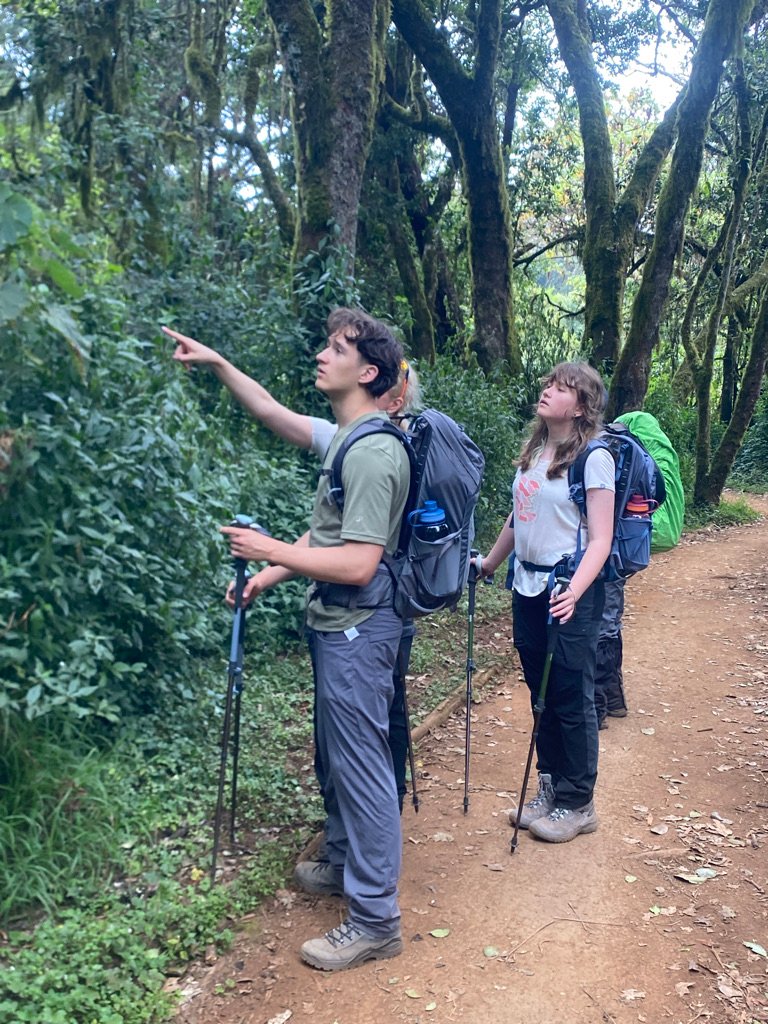 Two teenagers with trekking poles and daypacks on the rainforest trail of Kilimanjaro National Park