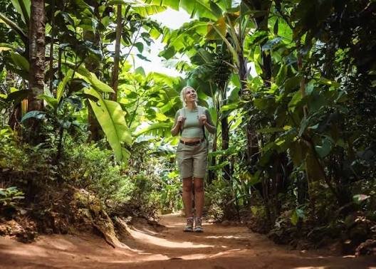 Trail through a banana plantation on the Marangu Waterfalls day trip
