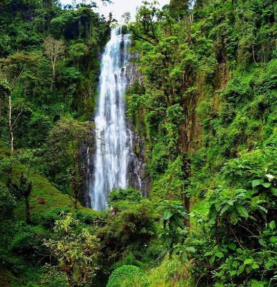Ndoro Waterfalls seen from the viewing point on the Marangu Waterfalls day trip