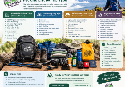 Tanzania Day Trip Packing List: What to Bring by Trip Type