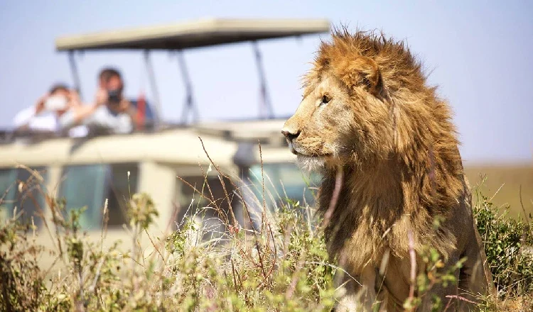 tanzania-day-trips-1